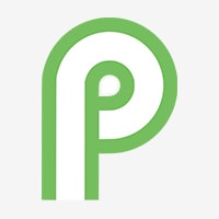 Icon of Android 9